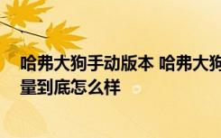 哈弗大狗手动版本 哈弗大狗油耗多少真实油耗,哈弗大狗质量到底怎么样