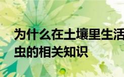 为什么在土壤里生活的昆虫经不起太阳晒 昆虫的相关知识