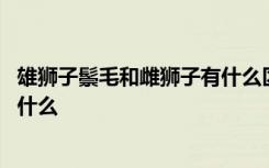 雄狮子鬃毛和雌狮子有什么区别 雄狮子鬃毛和雌狮子区别是什么