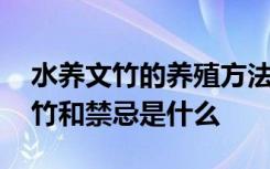 水养文竹的养殖方法和注意事项 怎么水培文竹和禁忌是什么