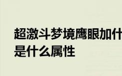 超激斗梦境鹰眼加什么属性 超激斗梦境技巧是什么属性