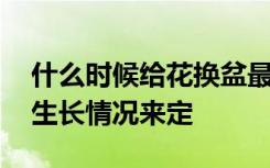 什么时候给花换盆最好 给花换盆要根据花的生长情况来定