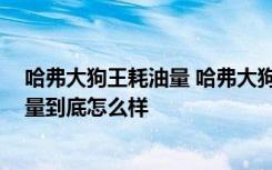 哈弗大狗王耗油量 哈弗大狗油耗多少真实油耗,哈弗大狗质量到底怎么样