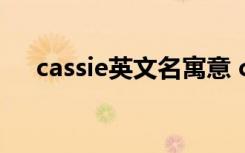 cassie英文名寓意 cassie英文名的含义