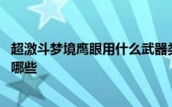 超激斗梦境鹰眼用什么武器类型 超激斗梦境鹰眼武器选择有哪些