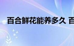 百合鲜花能养多久 百合鲜花能养多长时间