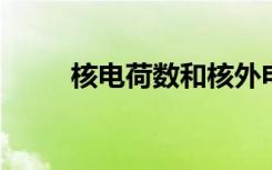 核电荷数和核外电子数有什么区别