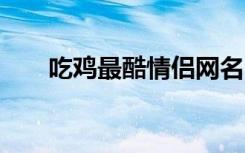 吃鸡最酷情侣网名 比较酷的情侣网名