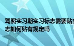 驾照实习期实习标志需要贴多久 驾照实习期注意事项实习标志如何贴有规定吗