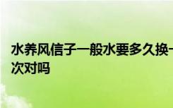 水养风信子一般水要多久换一次 水养风信子一般水一周换一次对吗