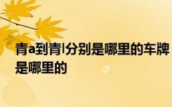 青a到青l分别是哪里的车牌 车牌青是哪个省的简称车牌青0是哪里的