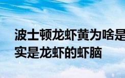 波士顿龙虾黄为啥是绿色的 波士顿龙虾黄其实是龙虾的虾脑