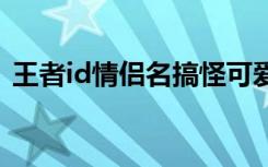 王者id情侣名搞怪可爱 王者id情侣网名哪些