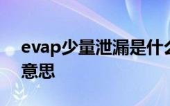 evap少量泄漏是什么意思 汽车evap是什么意思