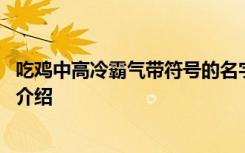 吃鸡中高冷霸气带符号的名字 吃鸡中高冷霸气带符号的名字介绍