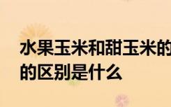 水果玉米和甜玉米的区别 水果玉米和甜玉米的区别是什么