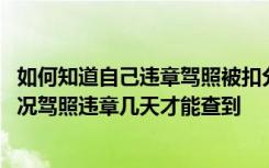 如何知道自己违章驾照被扣分 怎么查驾照违章记录和扣分情况驾照违章几天才能查到