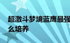 超激斗梦境蓝鹰最强加点 超激斗梦境蓝鹰怎么培养