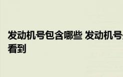 发动机号包含哪些 发动机号是什么发动机号在什么地方可以看到