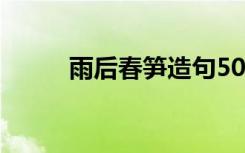 雨后春笋造句50字 雨后春笋造句