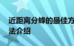 近距离分蜂的最佳方法 近距离分蜂的最佳方法介绍