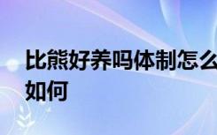 比熊好养吗体制怎么样 比熊好不好养吗体制如何