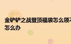 金铲铲之战登顶福袋怎么领不了 金铲铲之战登顶福袋打不开怎么办