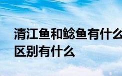 清江鱼和鲶鱼有什么区别吗 清江鱼和鲶鱼的区别有什么