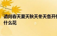 请问春天夏天秋天冬天各开什么花 春天夏天秋天冬天都会开什么花