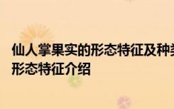 仙人掌果实的形态特征及种类分布的详细介绍 仙人掌果实的形态特征介绍