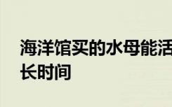 海洋馆买的水母能活多久 购买的水母能活多长时间