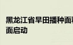 黑龙江省旱田播种面积已超过六成水稻插秧全面启动