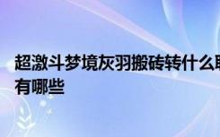 超激斗梦境灰羽搬砖转什么职业好 超激斗梦境灰羽转职推荐有哪些