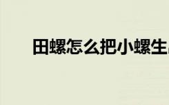 田螺怎么把小螺生出来 田螺如何繁殖