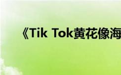 《Tik Tok黄花像海一样深》是什么歌？