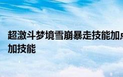 超激斗梦境雪崩暴走技能加点图片 超激斗梦境雪崩暴走怎么加技能