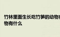 竹林里面生长吃竹笋的动物有哪些 竹林里面生长吃竹笋的动物有什么