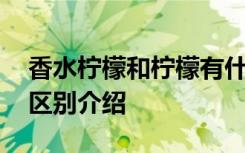 香水柠檬和柠檬有什么区别 香水柠檬和柠檬区别介绍