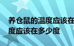 养仓鼠的温度应该在多少度呢内 养仓鼠的温度应该在多少度