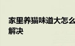 家里养猫味道大怎么办 家里养猫味道大如何解决