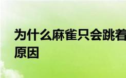 为什么麻雀只会跳着走路 麻雀只会跳着走路原因