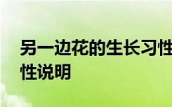 另一边花的生长习性介绍 另一边花的生长习性说明