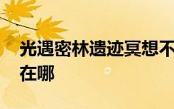 光遇密林遗迹冥想不显示 光遇密林遗迹冥想在哪