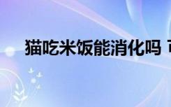 猫吃米饭能消化吗 可以给猫咪吃米饭吗