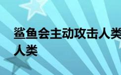 鲨鱼会主动攻击人类吗 鲨鱼会不会主动攻击人类