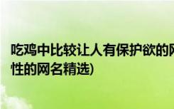 吃鸡中比较让人有保护欲的网名大全集(在吃鸡方面更具保护性的网名精选)