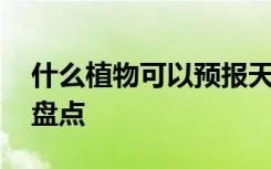 什么植物可以预报天气 可以预报天气的植物盘点