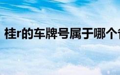 桂r的车牌号属于哪个省 桂R是哪里的车牌号