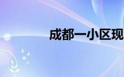 成都一小区现30层楼高花墙