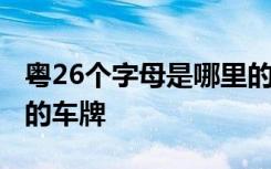 粤26个字母是哪里的车牌 粤26个字母是哪里的车牌